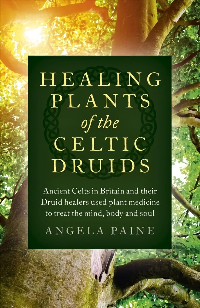 Healing Plants of the Celtic Druids - Ancient Celts in Britain and their Druid healers used plant medicine to treat the mind, body and soul: Ancient Celts in Britain and their Druid healers used plant medicine to treat the mind, body and soul цена и информация | Eneseabiraamatud | kaup24.ee