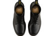 Saapad meestele Dr. Martens 101 10064001, mustad цена и информация | Meeste kingad, saapad | kaup24.ee