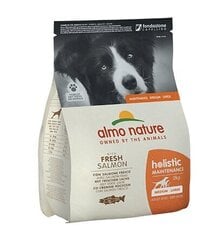 Almo Nature Holistic Maintenance M/L suuruses koertele, lõhega, 2kg цена и информация | Сухой корм для собак | kaup24.ee