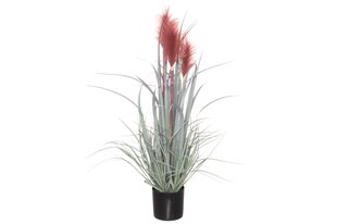 Искусственный тростник в горшке, 334649, 81 см, бордовый цена и информация | Искусственные цветы | kaup24.ee