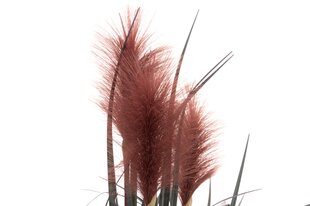 Искусственный тростник в горшке, 334649, 81 см, бордовый цена и информация | Искусственные цветы | kaup24.ee