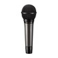 Dünaamiline mikrofon vokaalile Audio-Technica ATM510 цена и информация | Mikrofonid | kaup24.ee