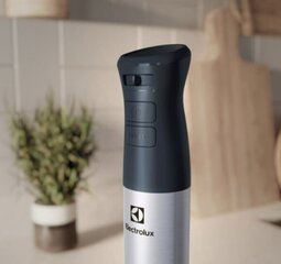 Electrolux E5HB1-6SS цена и информация | Блендеры, измельчители | kaup24.ee