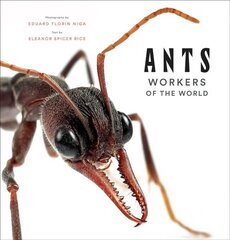 Ants: Workers of the World hind ja info | Entsüklopeediad, teatmeteosed | kaup24.ee