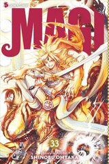 Magi, Vol. 33: The Labyrinth of Magic hind ja info | Fantaasia, müstika | kaup24.ee