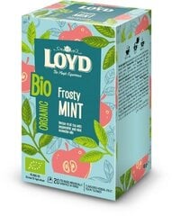 Органический травяной чай Loyd Frosty Mint, 20 x 2 г цена и информация | Чай | kaup24.ee