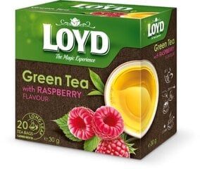 Зеленый чай Loyd со вкусом малины, 20 x 1,5 г цена и информация | Чай | kaup24.ee