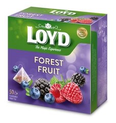 Puuviljatee Loyd metsamarja maitsega, 50 х 2 g hind ja info | Tee | kaup24.ee