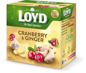 Травяной и фруктовый чай Loyd со вкусом клюквы и имбиря, 20 х 2 г цена и информация | Чай | kaup24.ee
