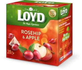 Чай фруктовый Loyd со вкусом яблока, с облепихой, 20 х 2г цена и информация | Чай | kaup24.ee