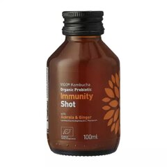 Värskendav teejook Vigo Kombucha Immunity shot, 0,1 l hind ja info | Karastusjoogid | kaup24.ee