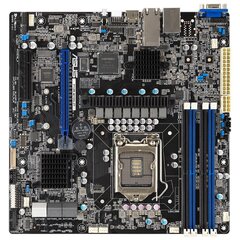 Asus P12R-M/10G-2T, micro ATX, LGA1200 цена и информация | Материнские платы | kaup24.ee