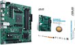 Asus Pro B550M-C/CSM, Micro ATX, AM4, DDR4 (90MB15Q0-M0EAYC) цена и информация | Emaplaadid | kaup24.ee