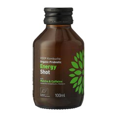 Värskendav teejook Vigo Kombucha Energy shot, 0,1 l hind ja info | Karastusjoogid | kaup24.ee