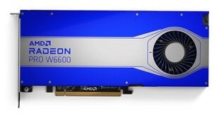 AMD Radeon Pro W6600 8ГБ GDDR6 (100-506159) цена и информация | Видеокарты | kaup24.ee