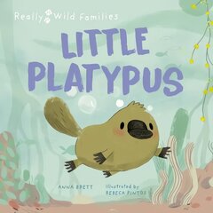 Little Platypus: A Day in the Life of a Platypus Puggle цена и информация | Книги для малышей | kaup24.ee