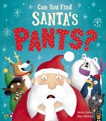 Can You Find Santa's Pants? цена и информация | Книги для малышей | kaup24.ee