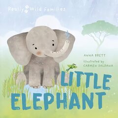 Little Elephant: A Day in the Life of a Elephant Calf цена и информация | Книги для малышей | kaup24.ee