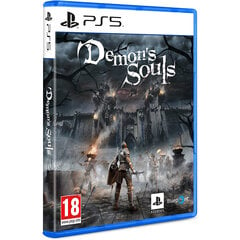 Demon’s Souls PlayStation 5 PS5 hind ja info | Arvutimängud, konsoolimängud | kaup24.ee