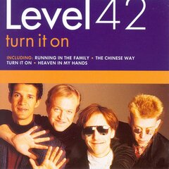 Виниловая пластинка CD - Level 42 - Turn It On цена и информация | Виниловые пластинки, CD, DVD | kaup24.ee