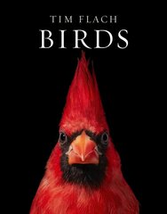 Birds цена и информация | Книги по фотографии | kaup24.ee