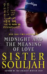 Midnight and the Meaning of Love: A Novel hind ja info | Fantaasia, müstika | kaup24.ee