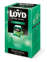 Травяной чай Loyd Horeca Mint, 20 x 1,7 г цена и информация | Чай | kaup24.ee