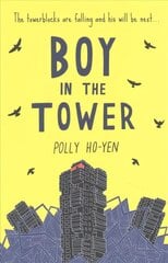 Boy In The Tower цена и информация | Книги для подростков и молодежи | kaup24.ee