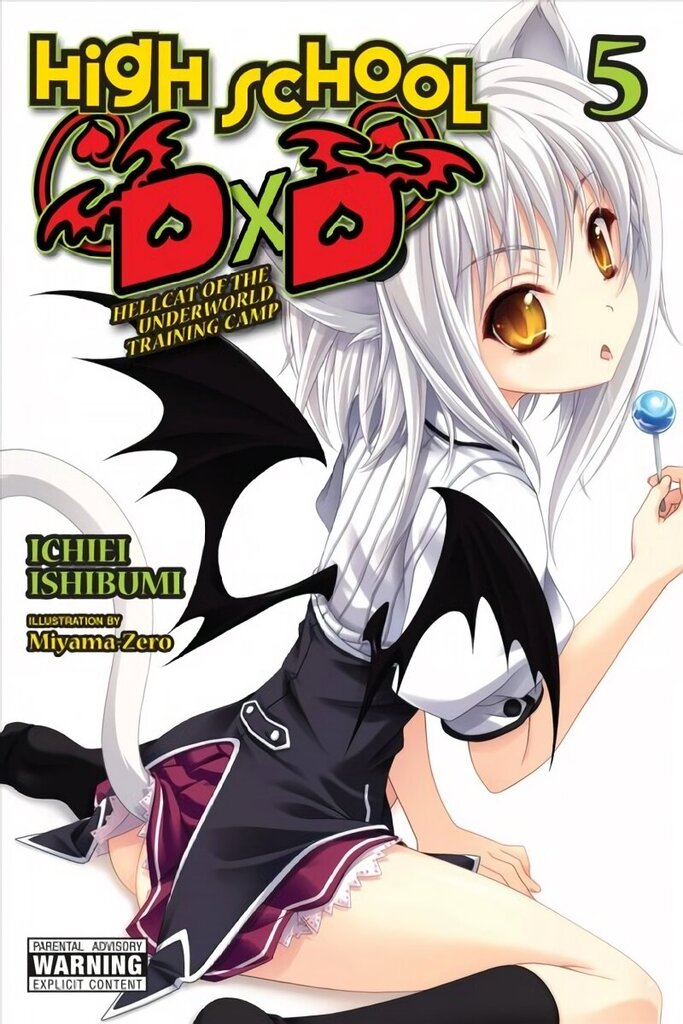 High School DxD, Vol. 5 (light novel) hind ja info | Fantaasia, müstika | kaup24.ee