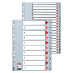 Eralduslehed ESSELTE, 1-31, A4, PP pakend 10 tk. цена и информация | Канцелярские товары | kaup24.ee