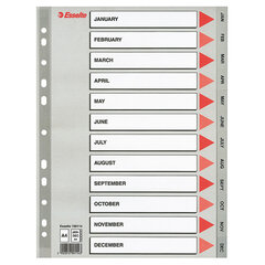 Eralduslehed ESSELTE, jaan-dets , A4, PP pakend 10 tk. hind ja info | Kirjatarbed | kaup24.ee