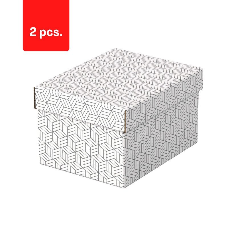 Hoiukast ESSELTE, kaanega, 200x150x255, valge-hall (3 tk/pakk) pakend 2 tk. цена и информация | Kirjatarbed | kaup24.ee