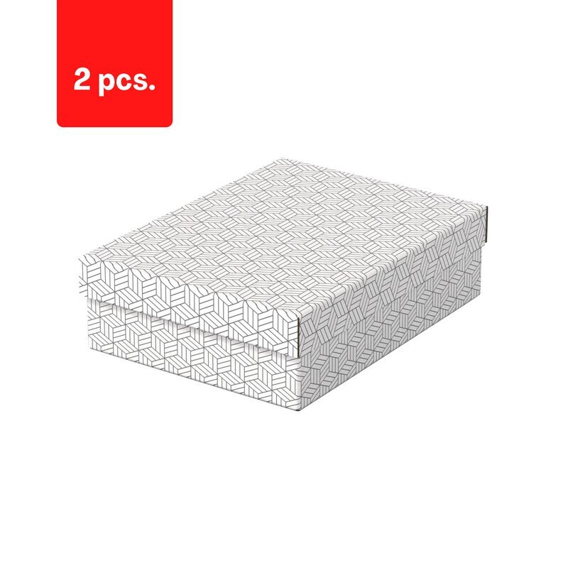 Hoiukast ESSELTE, kaanega, 265x100x360 valge-hall (3 tk/pakk) pakend 2 tk. цена и информация | Kirjatarbed | kaup24.ee