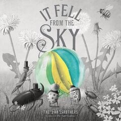 It Fell From The Sky цена и информация | Книги для малышей | kaup24.ee