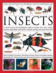 Illustrated World Encyclopaedia of Insects: A Natural History and Identification Guide to Beetles, Flies, Bees Wasps, Springtails, Mayflies, Stoneflies, Dragonflies, Damselflies, Cockroaches, Mantids, Earwigs ... and Many More illustrated edition hind ja info | Tervislik eluviis ja toitumine | kaup24.ee