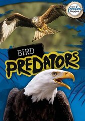 Bird Predators цена и информация | Книги для подростков и молодежи | kaup24.ee