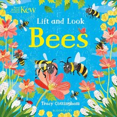 Kew: Lift and Look Bees hind ja info | Väikelaste raamatud | kaup24.ee