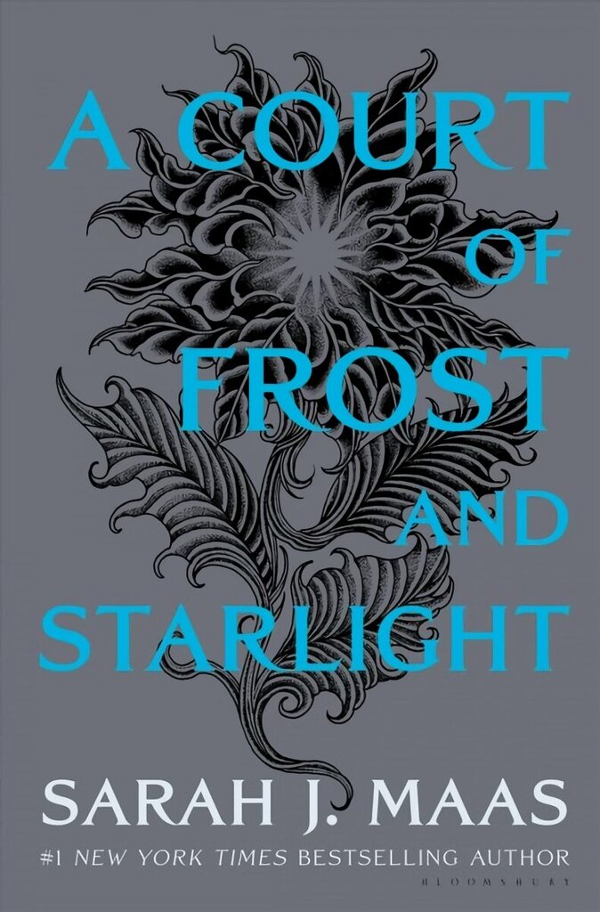 Court of Frost and Starlight: US Hardcover Edition hind ja info | Fantaasia, müstika | kaup24.ee
