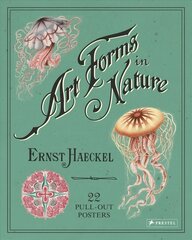 Ernst Haeckel: Art Forms in Nature: 22 Pull-Out Posters: 22 Pull-Out Posters hind ja info | Kunstiraamatud | kaup24.ee