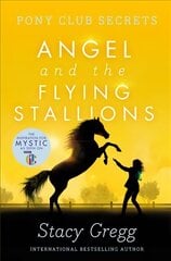 Angel and the Flying Stallions цена и информация | Книги для подростков и молодежи | kaup24.ee