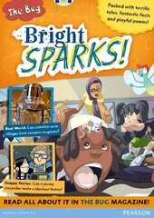 Bug Club Pro Guided Y3 Bright Sparks цена и информация | Книги для подростков и молодежи | kaup24.ee