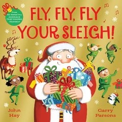 Fly, Fly, Fly Your Sleigh: A Christmas Caper! цена и информация | Книги для малышей | kaup24.ee