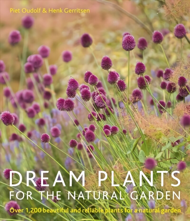 Dream Plants for the Natural Garden PB Reissue цена и информация | Aiandusraamatud | kaup24.ee