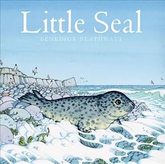 Little Seal цена и информация | Книги для малышей | kaup24.ee