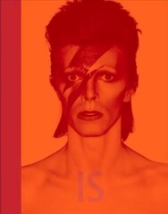 David Bowie Is Special edition цена и информация | Книги об искусстве | kaup24.ee