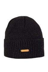 Зимняя шапка Starling цена и информация | Мужские шарфы, шапки, перчатки | kaup24.ee