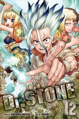 Dr. STONE, Vol. 12 цена и информация | Фантастика, фэнтези | kaup24.ee