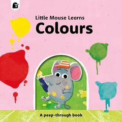 Colours: A peep-through book hind ja info | Väikelaste raamatud | kaup24.ee