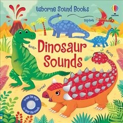 Dinosaur Sounds цена и информация | Книги для малышей | kaup24.ee