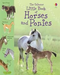 Little Book of Horses and Ponies hind ja info | Noortekirjandus | kaup24.ee